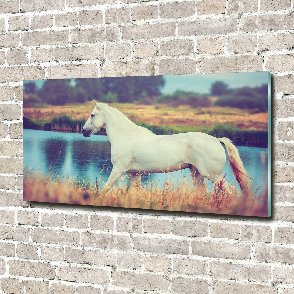 Print on acrylic White horse lake