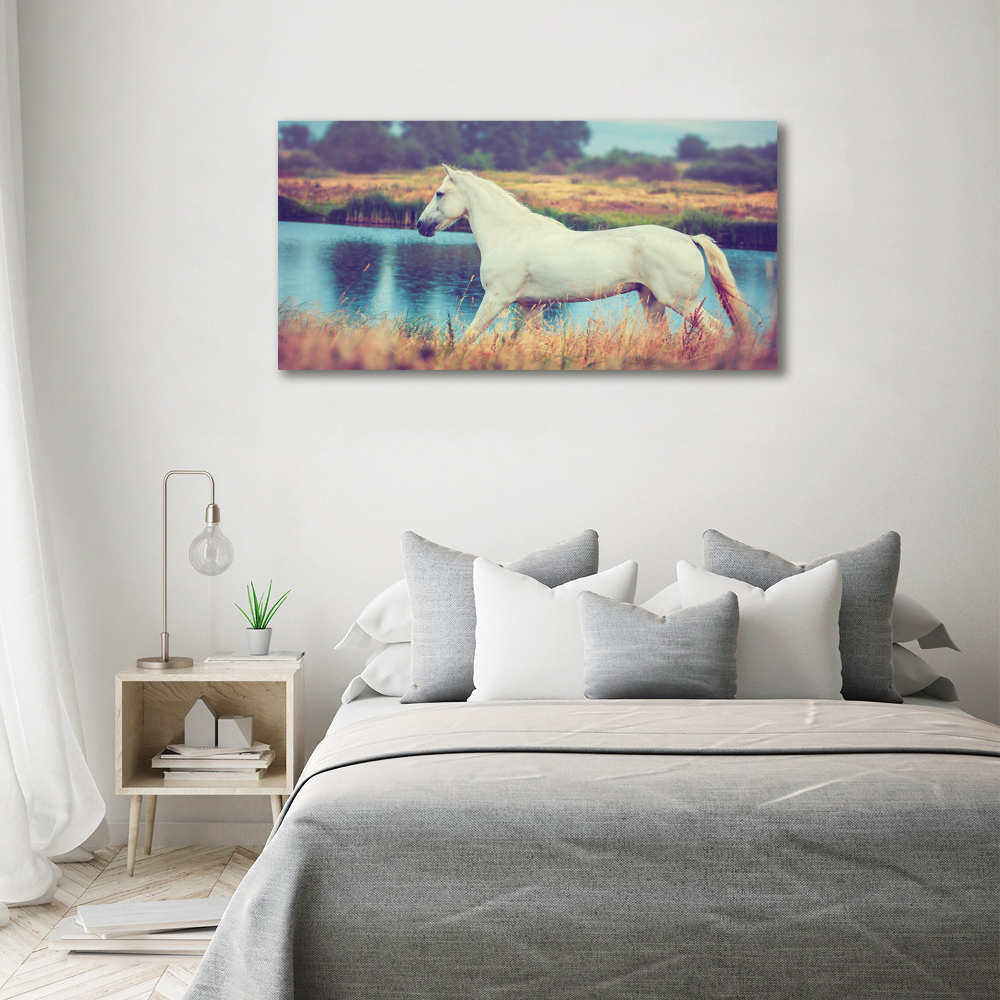 Print on acrylic White horse lake