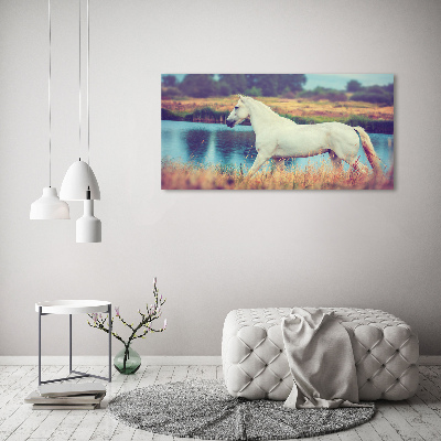 Print on acrylic White horse lake