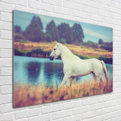 Print on acrylic White horse lake