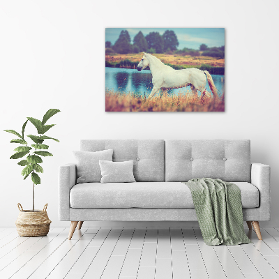 Print on acrylic White horse lake