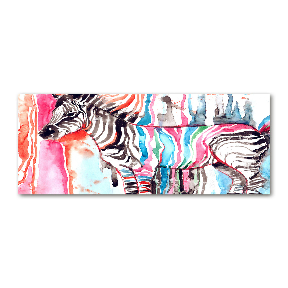 Acrylic wall art Colorful zebra