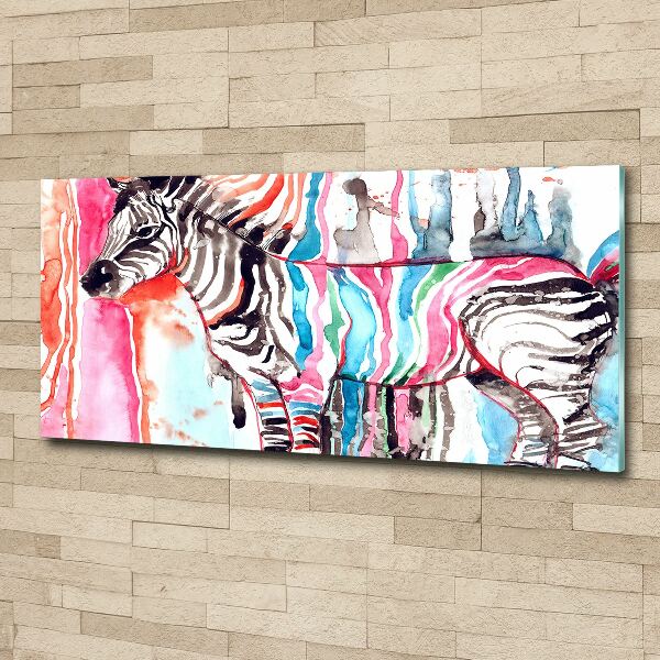 Acrylic wall art Colorful zebra