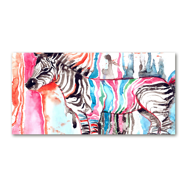 Acrylic wall art Colorful zebra