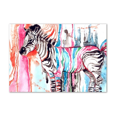 Acrylic wall art Colorful zebra