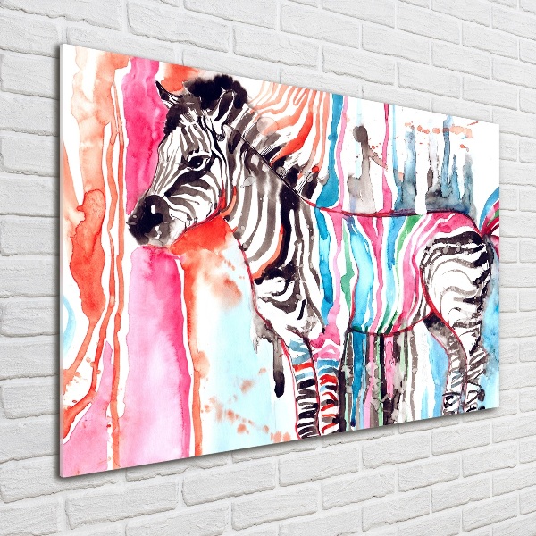 Acrylic wall art Colorful zebra