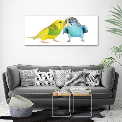 Print on acrylic Faded parakeets