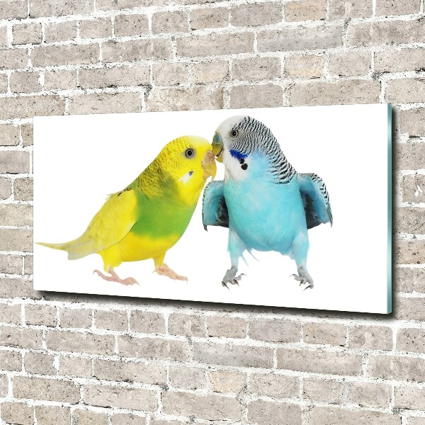 Print on acrylic Faded parakeets