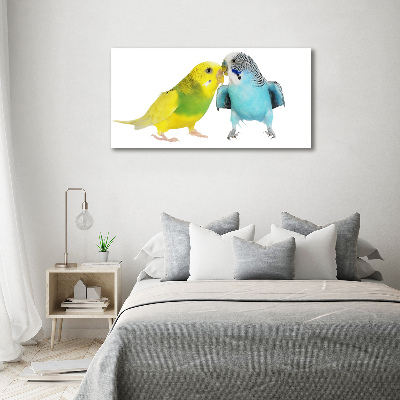 Print on acrylic Faded parakeets