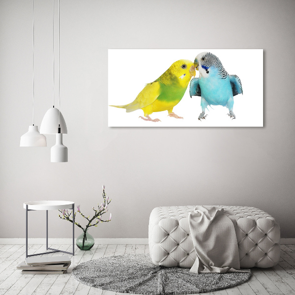 Print on acrylic Faded parakeets