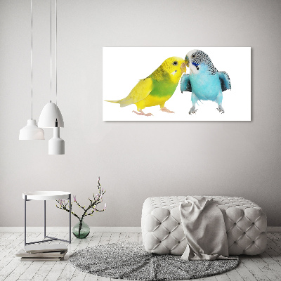 Print on acrylic Faded parakeets