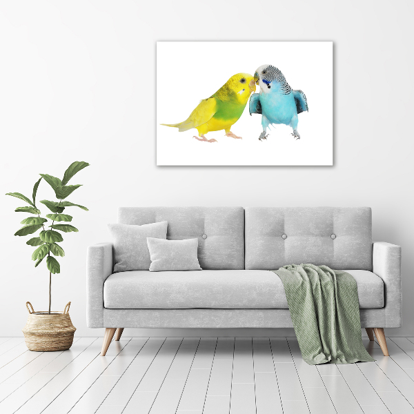 Print on acrylic Faded parakeets