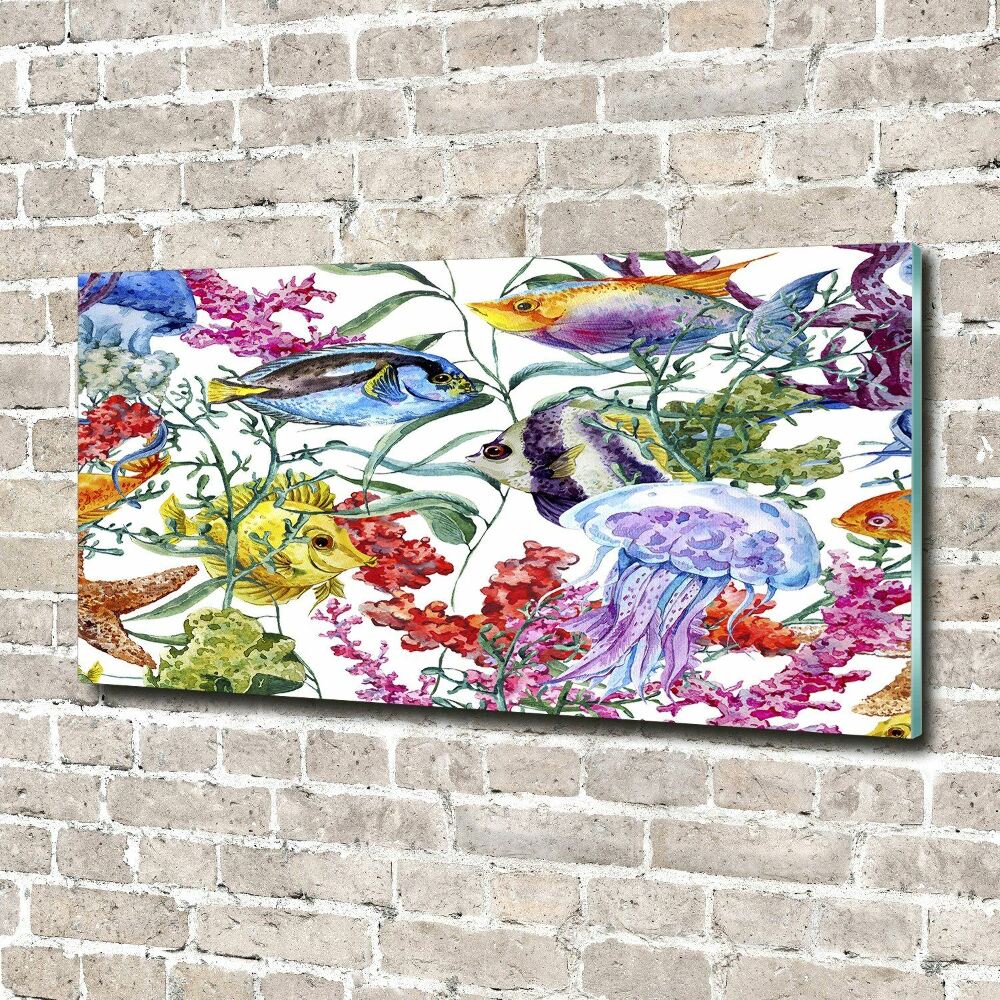 Print on acrylic Coral reef