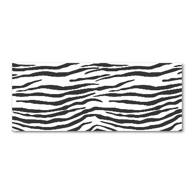 Acrylic wall art Zebra background