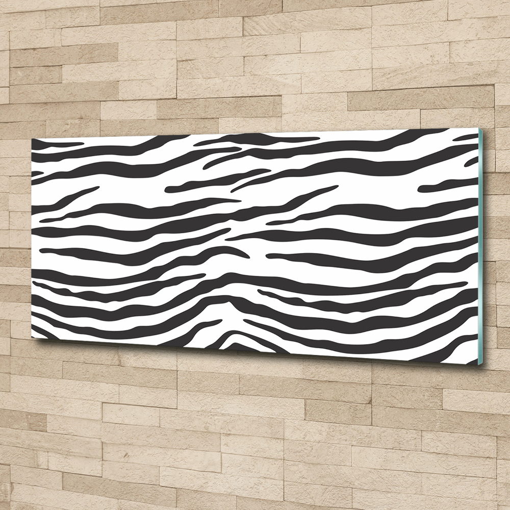 Acrylic wall art Zebra background