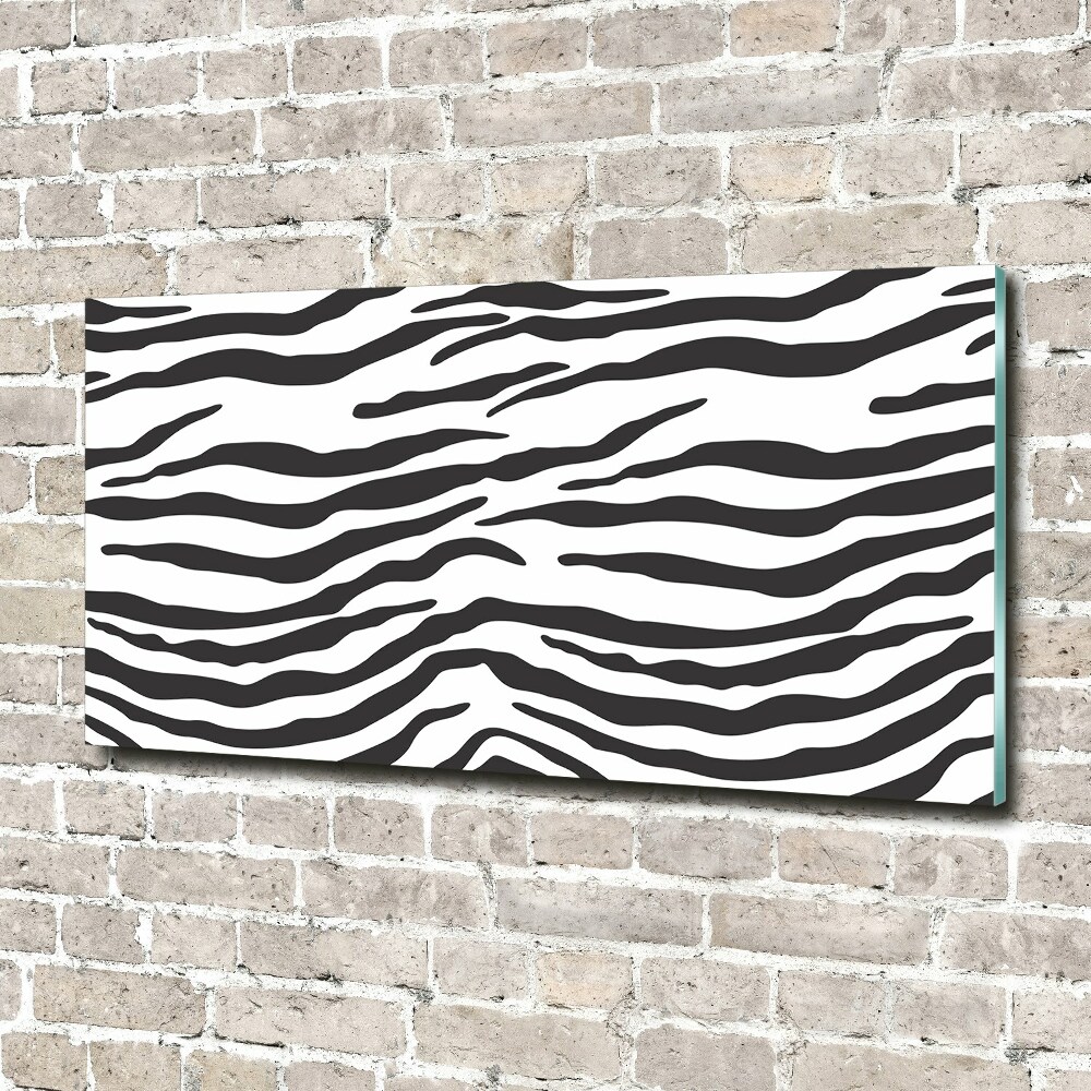 Acrylic wall art Zebra background