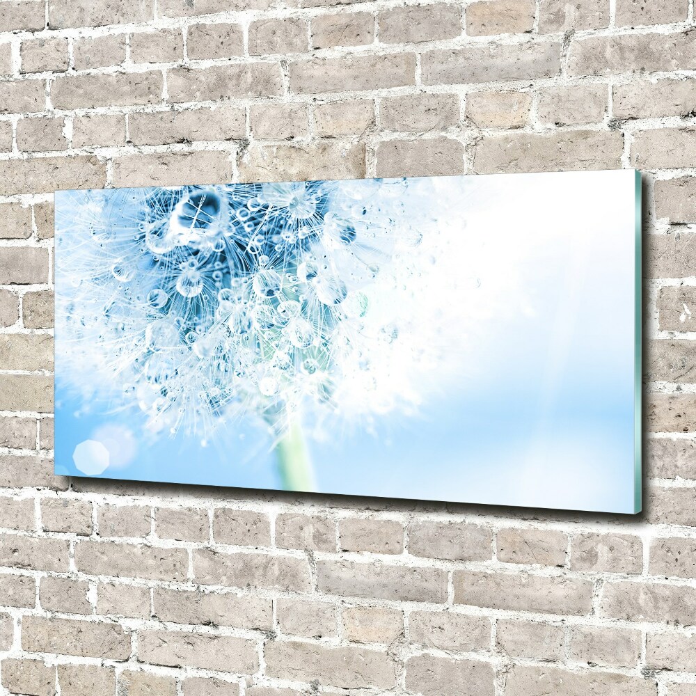 Wall art acrylic Dandelion