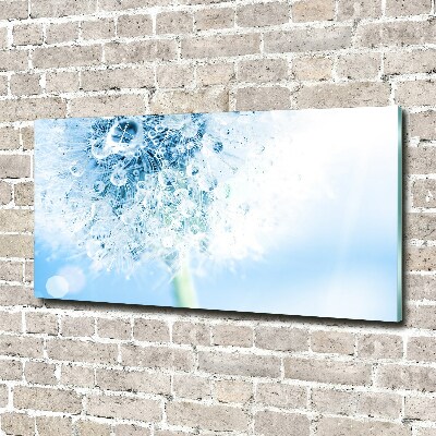 Wall art acrylic Dandelion