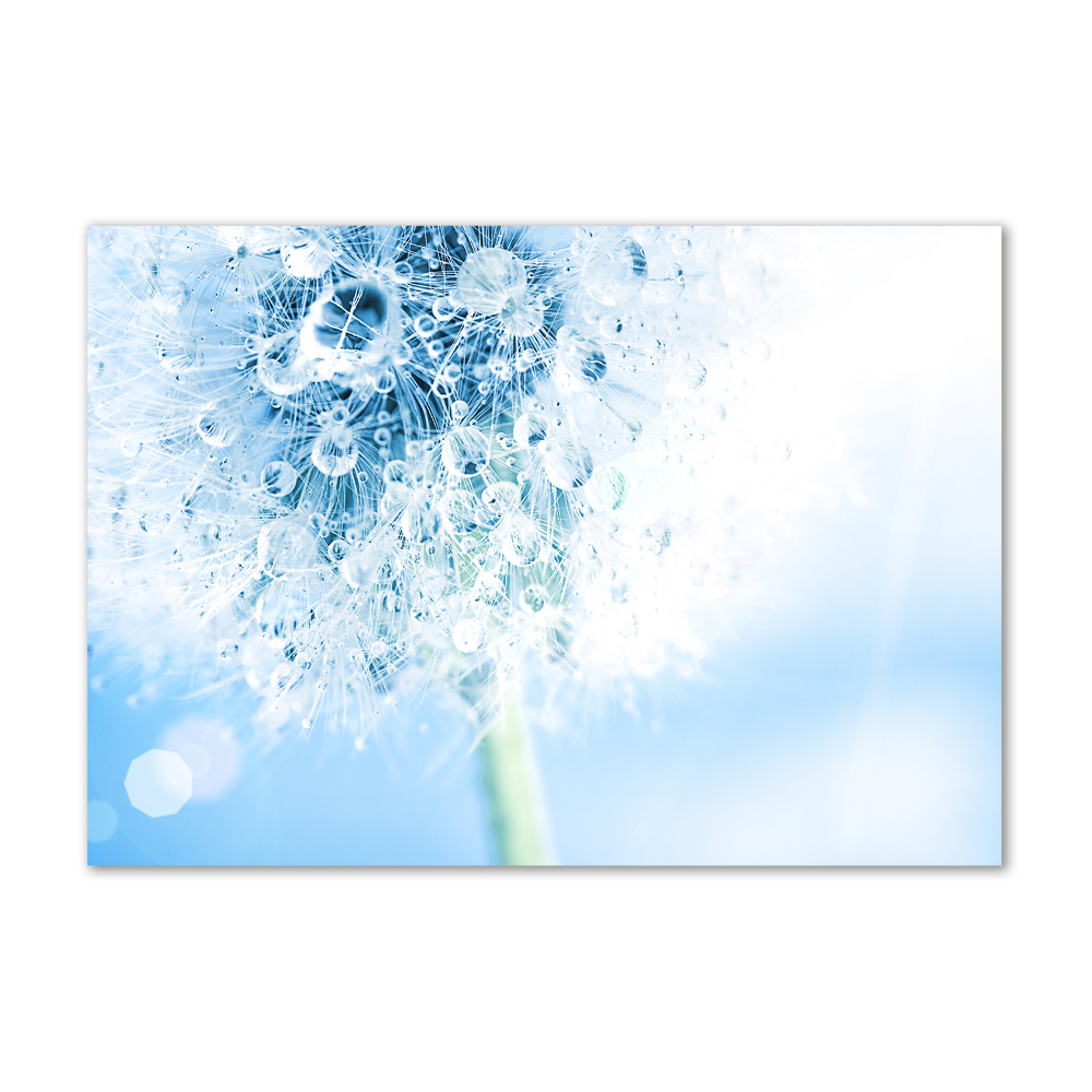 Wall art acrylic Dandelion