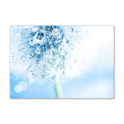 Wall art acrylic Dandelion