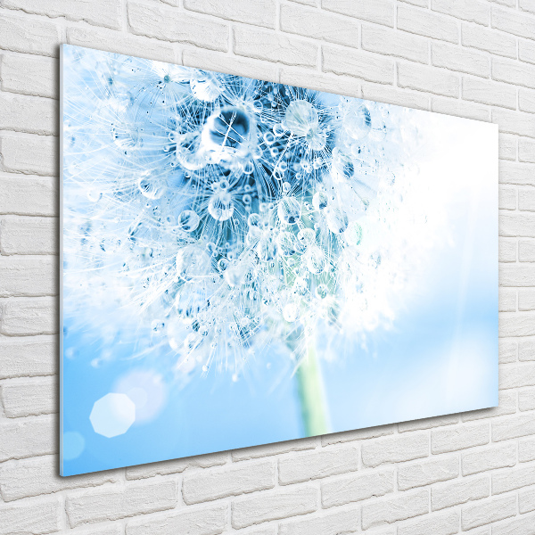 Wall art acrylic Dandelion