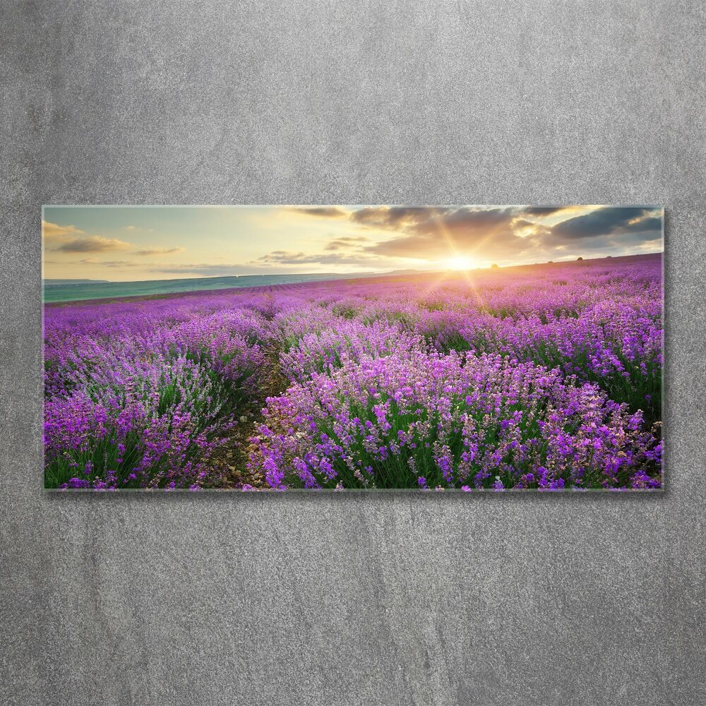 Acrylic wall art Lavender field