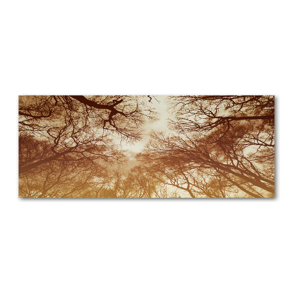 Acrylic wall picture Forest