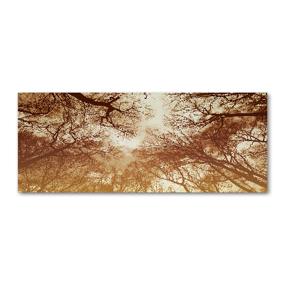 Acrylic wall picture Forest