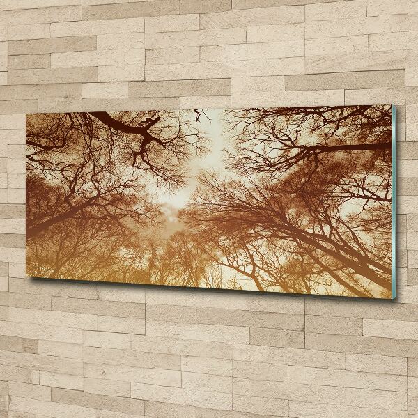 Acrylic wall picture Forest