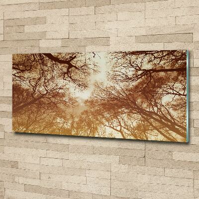 Acrylic wall picture Forest