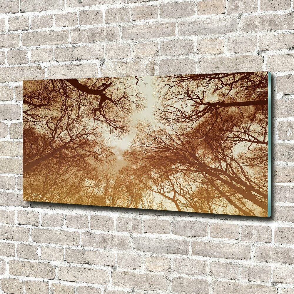 Acrylic wall picture Forest