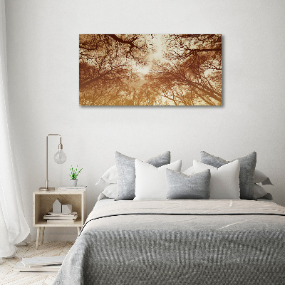 Acrylic wall picture Forest