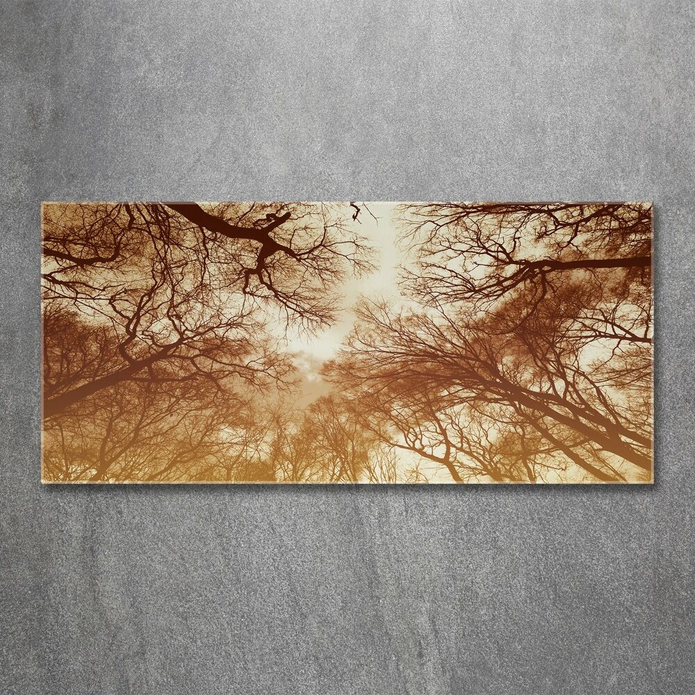 Acrylic wall picture Forest