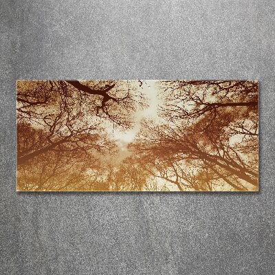 Acrylic wall picture Forest