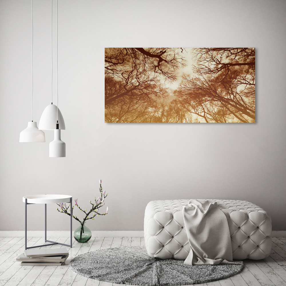 Acrylic wall picture Forest