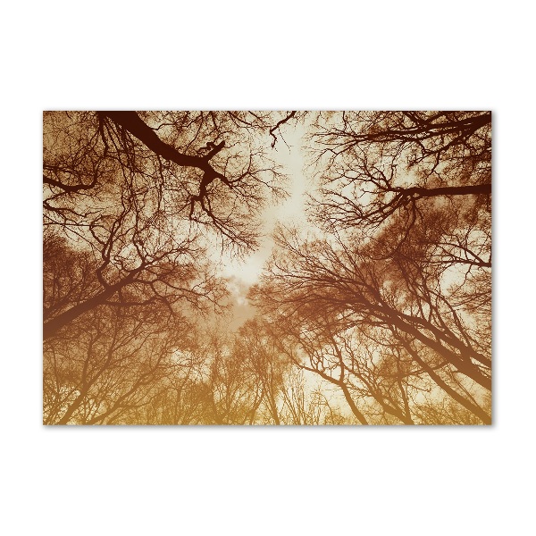 Acrylic wall picture Forest