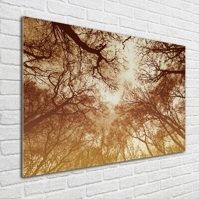 Acrylic wall picture Forest