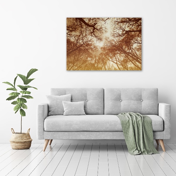 Acrylic wall picture Forest