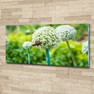 Acrylic wall picture Flowering garlic