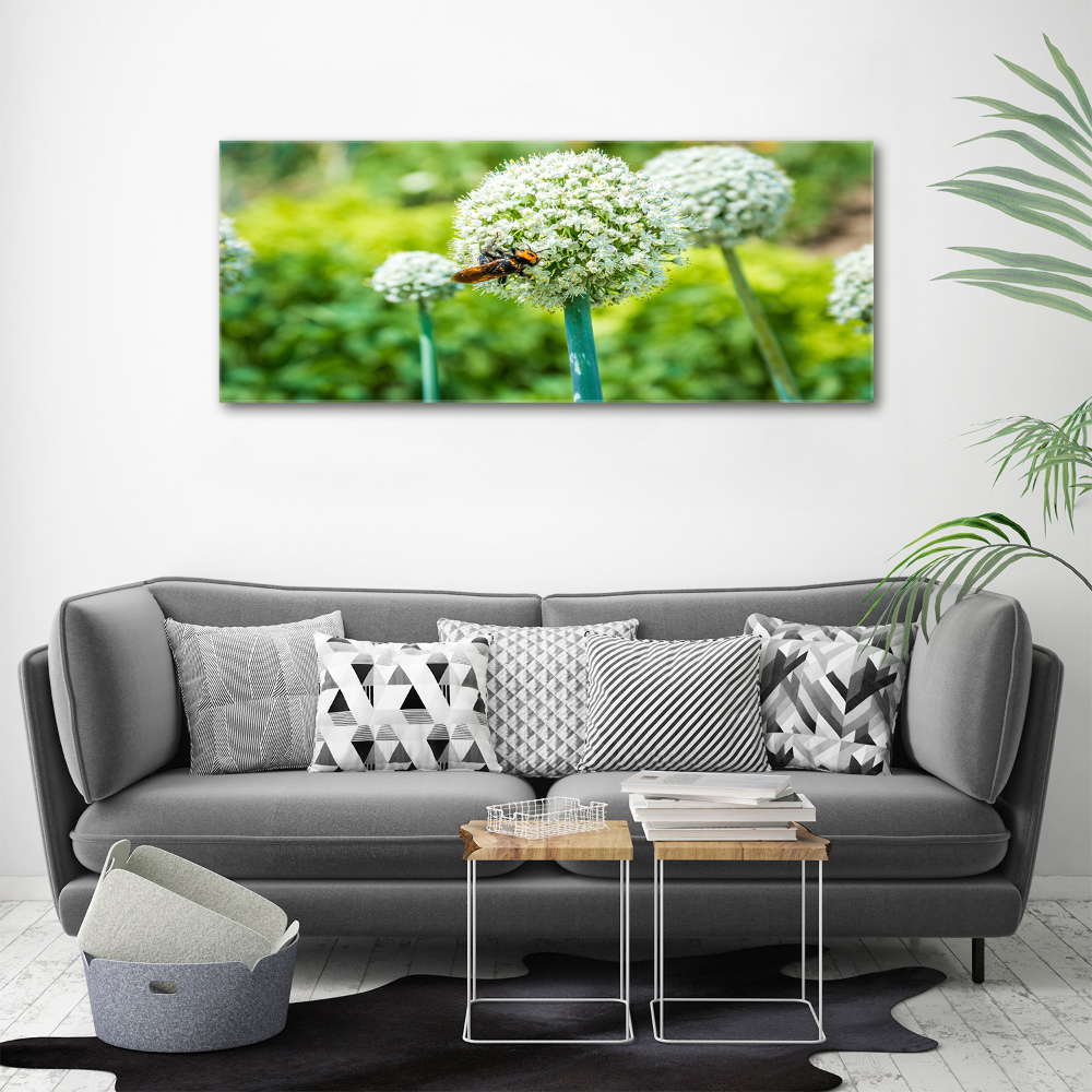 Acrylic wall picture Flowering garlic