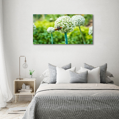 Acrylic wall picture Flowering garlic