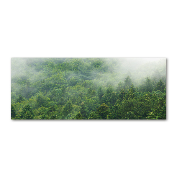 Acrylic wall picture Mysterious forest