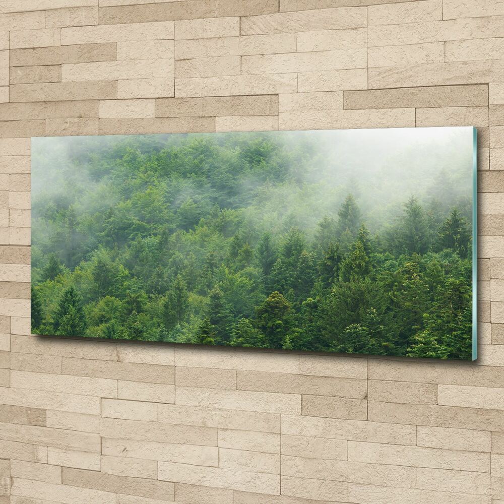 Acrylic wall picture Mysterious forest