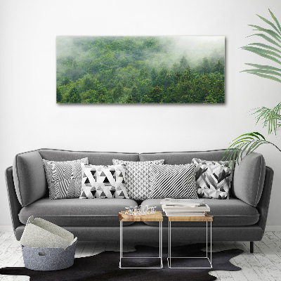 Acrylic wall picture Mysterious forest