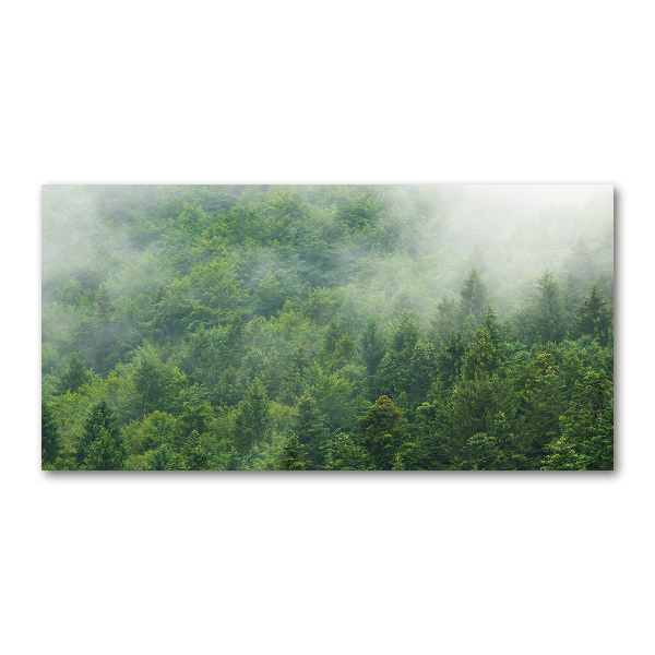 Acrylic wall picture Mysterious forest