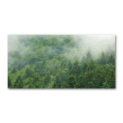 Acrylic wall picture Mysterious forest