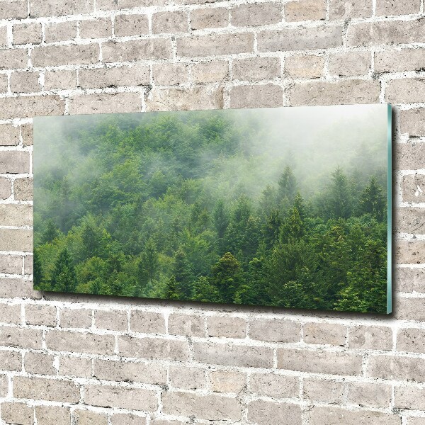 Acrylic wall picture Mysterious forest