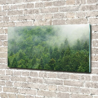 Acrylic wall picture Mysterious forest