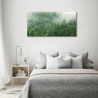 Acrylic wall picture Mysterious forest