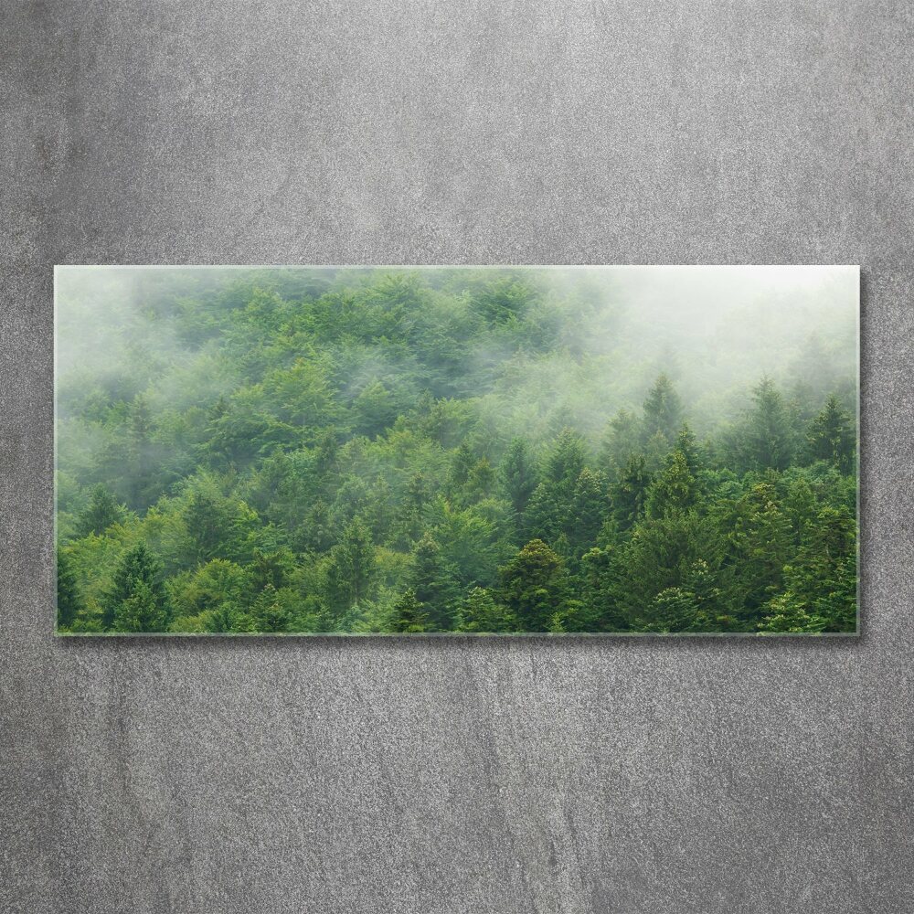 Acrylic wall picture Mysterious forest